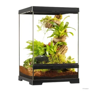 Terrariums