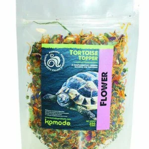 Komodo Tortoise Topper