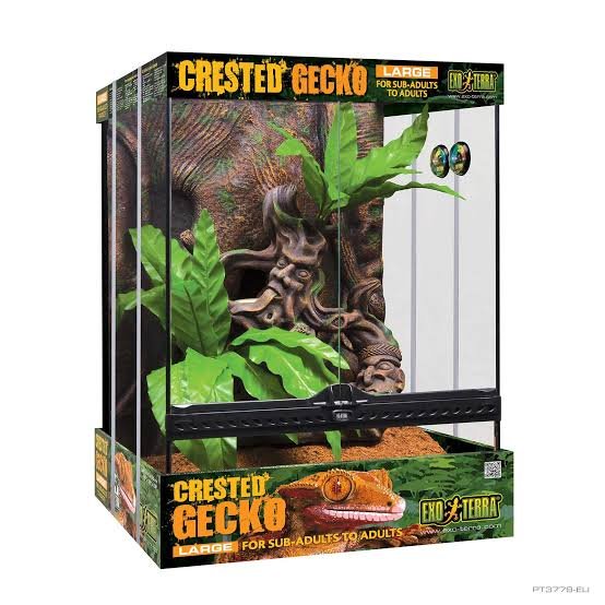 Crested Gecko terrarium: Measurement 30x30x45 cm