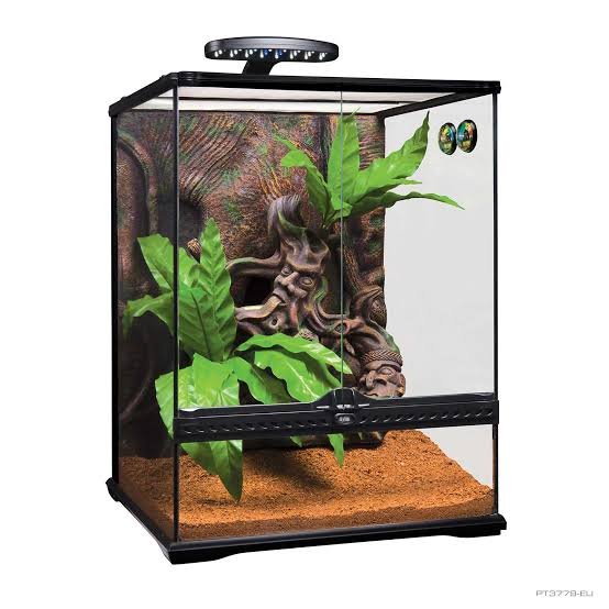 Crested Gecko terrarium: Measurement 30x30x45 cm - Image 2