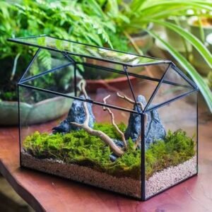 Acrylic Terarium