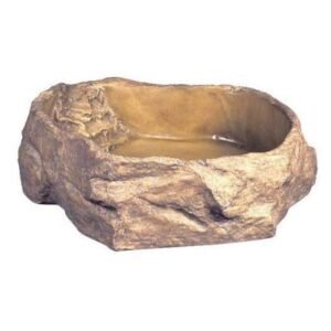 Water Dish