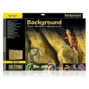 Terrarium Background