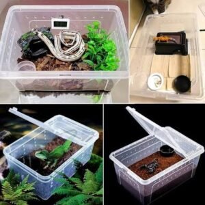 Mini Box for Lings