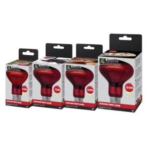 Infrared Heat Lamps