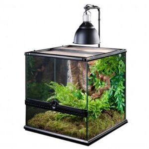 Lamp holder for terrariums