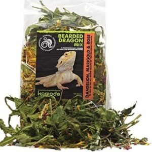 komodo-bearded-dragon-mix